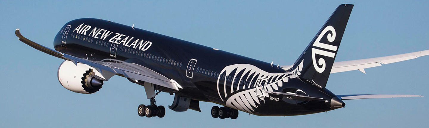 air new zealand extra baggage