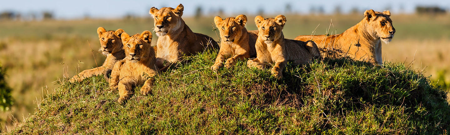 kenya tour flight centre