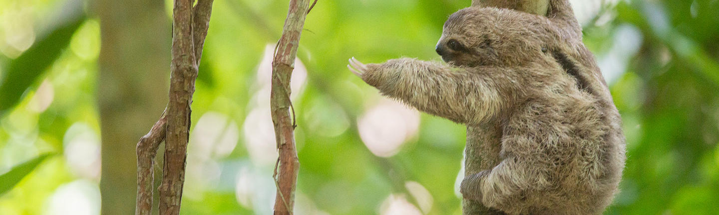 Costa Rica