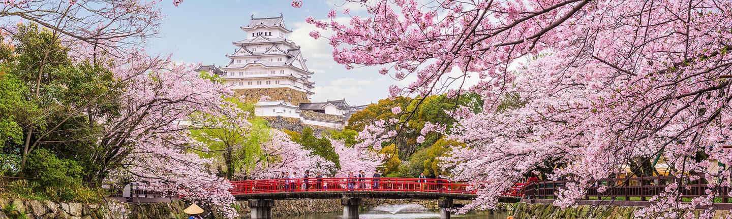 Flights to Japan from the UK 2024 2025