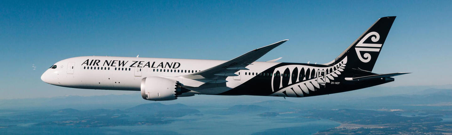 Air new zealand online excess baggage